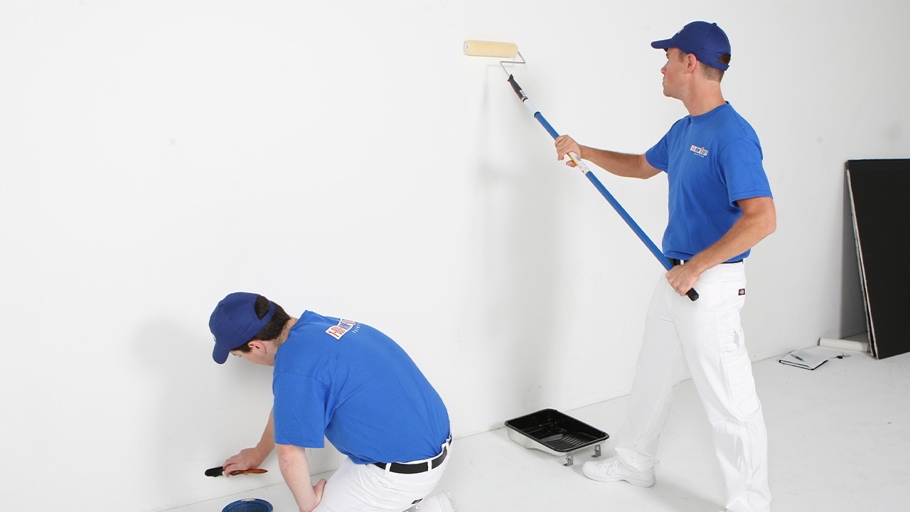 Babadağ Boya Badanacı